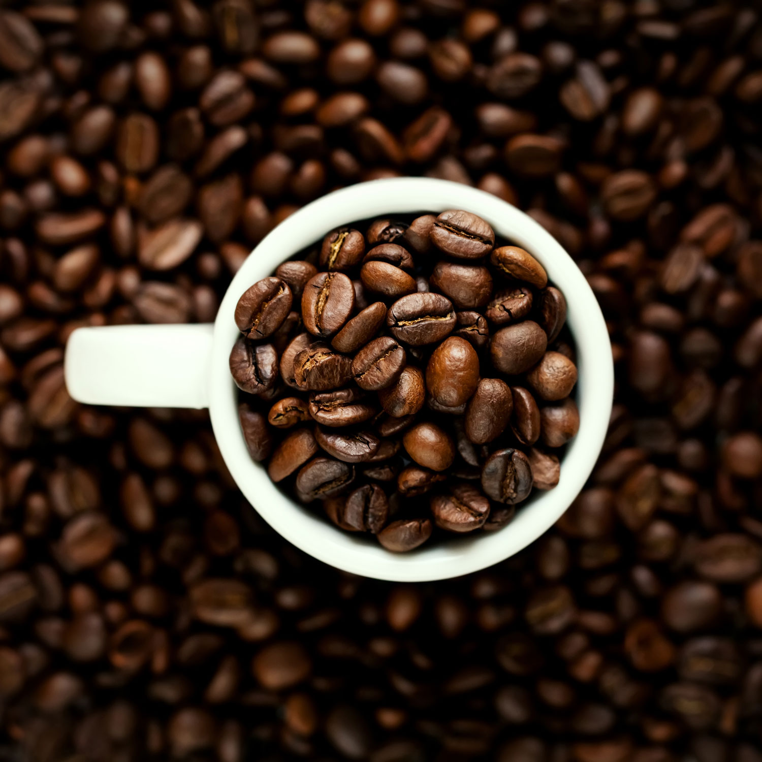 coffe-bean1.jpg coffe-bean1.jpg