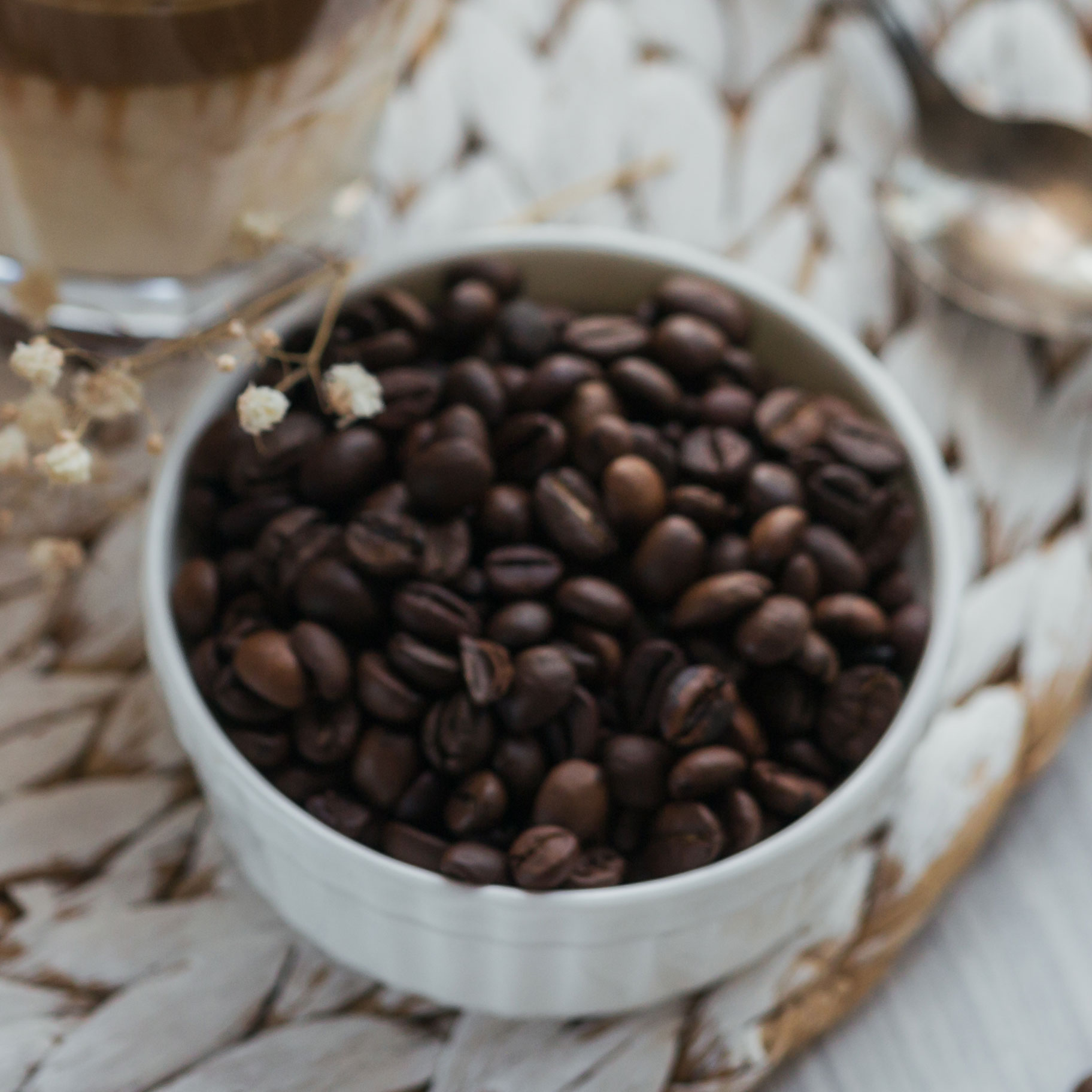 coffe-bean4.jpg coffe-bean4.jpg