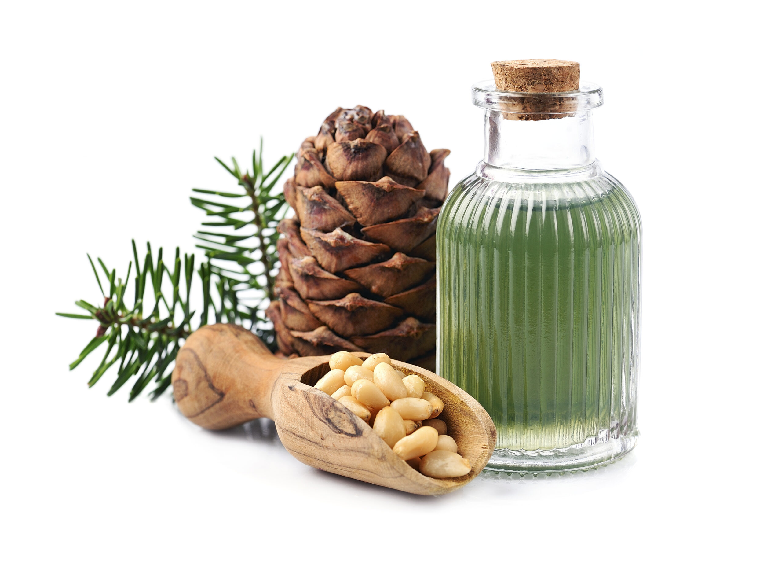 Pine oil and pine nuts with cedar cone Pine oil and pine nuts with cedar cone on white backgrounds.