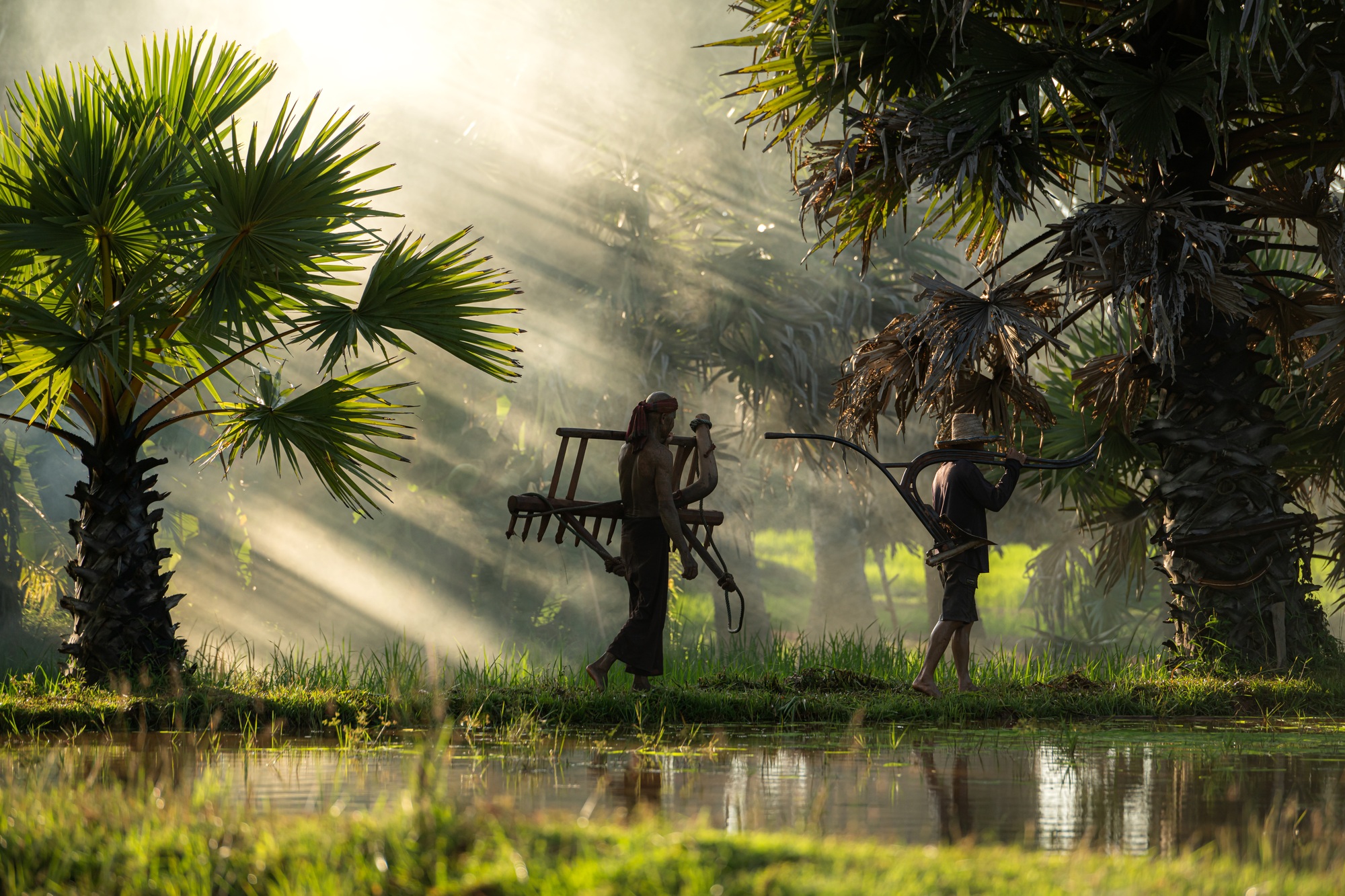 Farmers and their lifestyle of rice farming based on the seasons