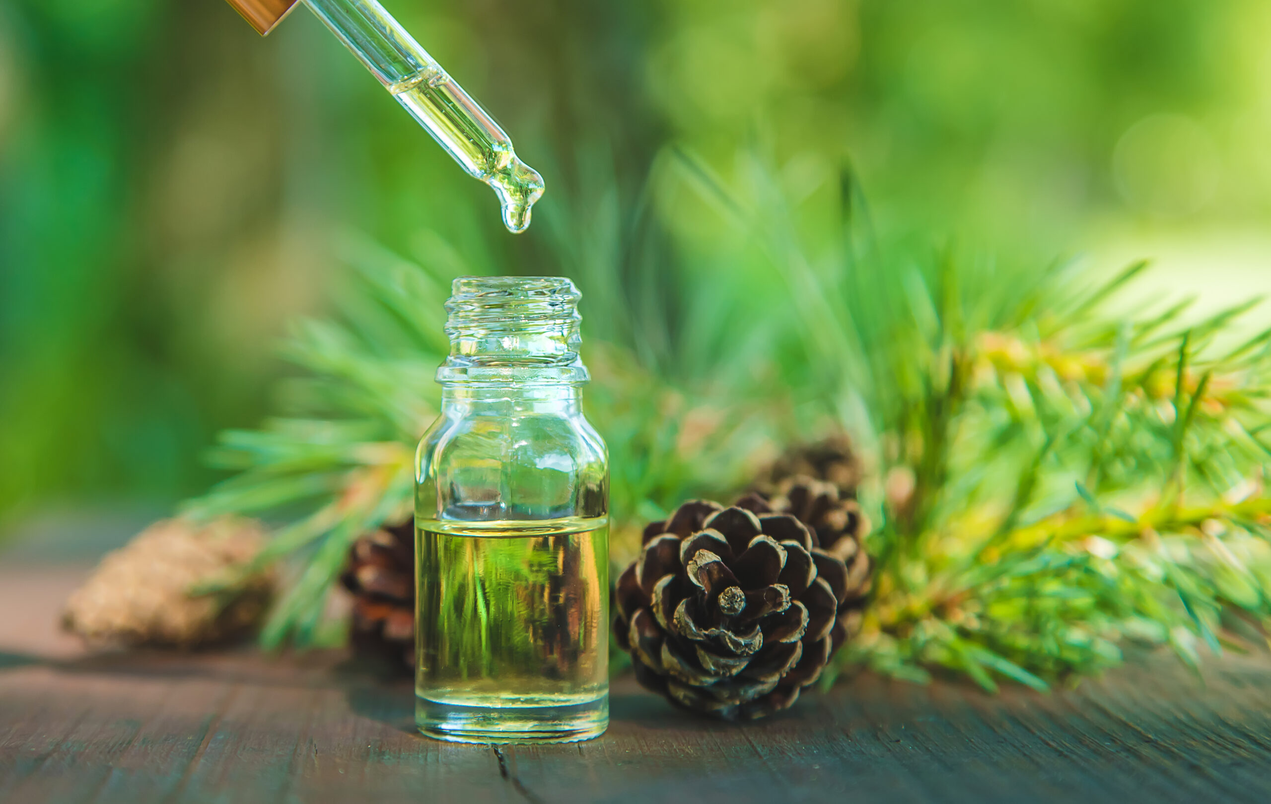 The essential oil was pine in a small bottle. Selective focus. The essential oil was pine in a small bottle. Selective focus. Nature.