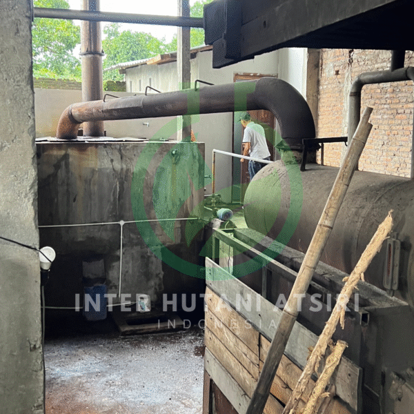 Cajuputi oil - PT Inter Hutani Atsiri 4