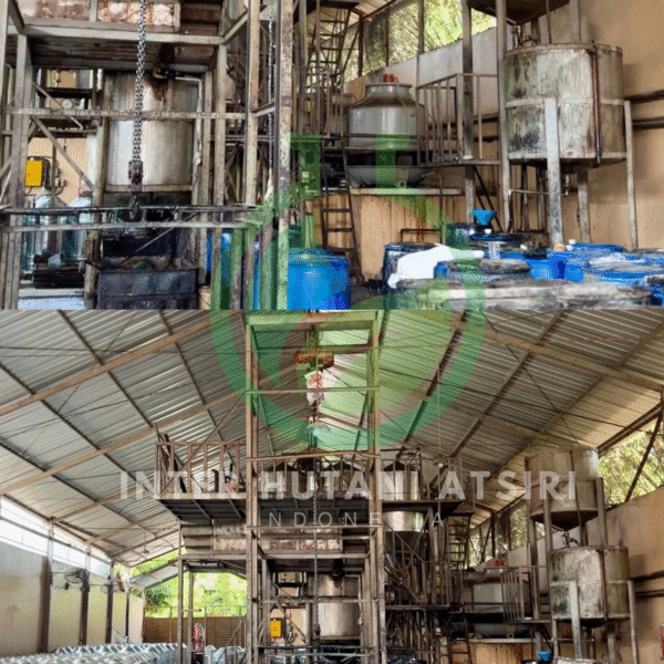 Turpentine Oil - PT Inter Hutani Atsiri 2