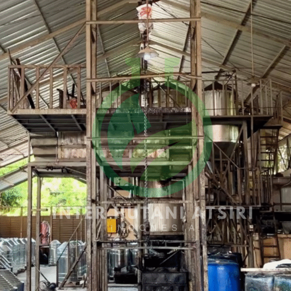 Turpentine Oil - PT Inter Hutani Atsiri 3